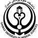 مدیر و قائم مقام سابق  شعبه بین الملل دانشگاه علوم پزشکی شیراز در جزیره زیبای کیش